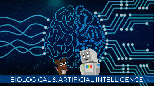 Biological and Artificial Intelligence with Play Piper Co-Founder Dr. Shree Bose